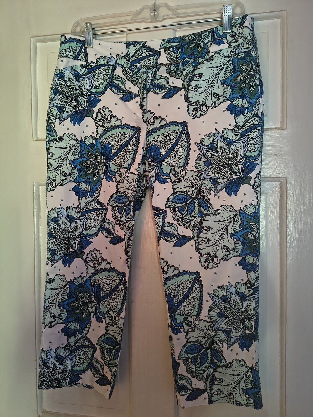 Ann Taylor White Capri Pants with Blue & Teal Floral Motif